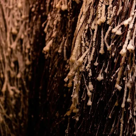 Bielik Apartahotel 3*