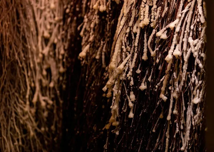 Bielik Апарт-отель 3*