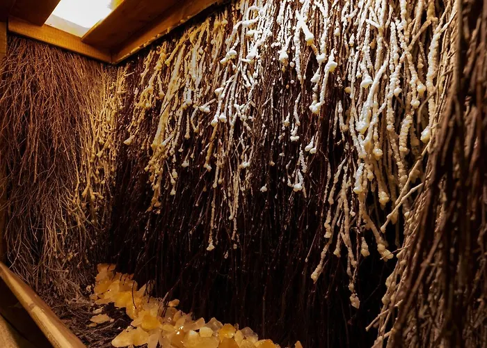 Bielik Lejlighedshotel 3*